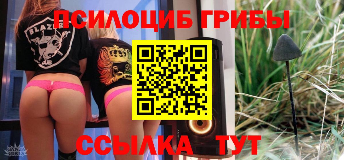 Псилоцибиновые грибы Psilocybine cubensis Ростов Великий