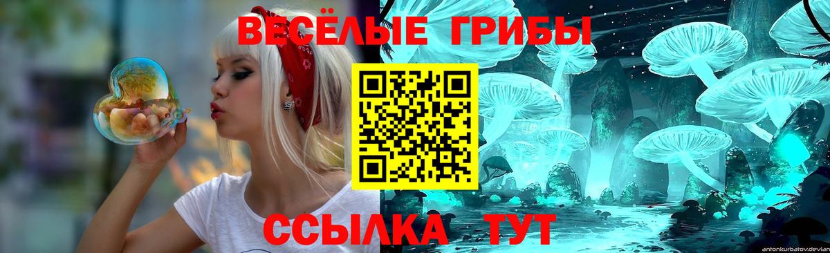 Ростов Великий  Псилоцибиновые грибы Cubensis  Вход с VPN 